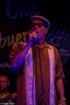 Mark Hummel & The Blues Survivors (USA)